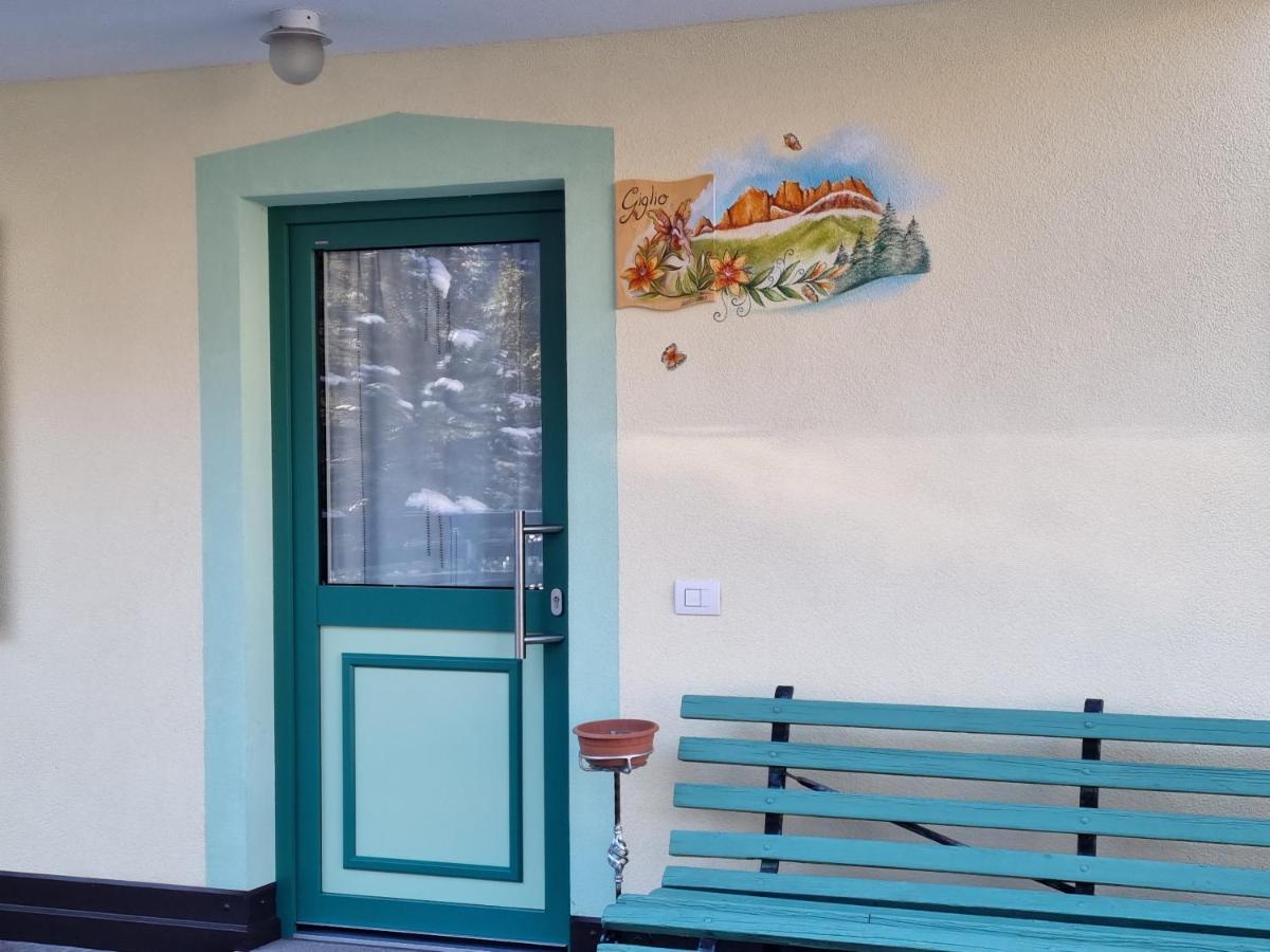 Ciapia Διαμέρισμα Campitello di Fassa Εξωτερικό φωτογραφία